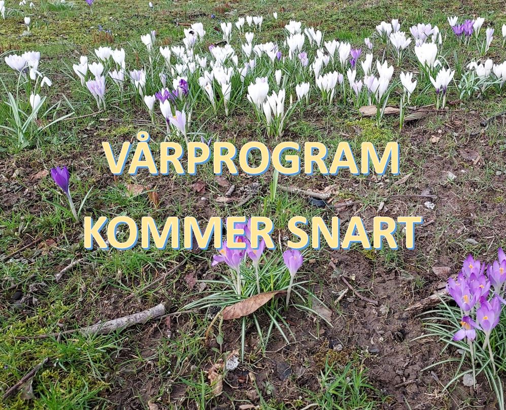 VÅRPROGRAM